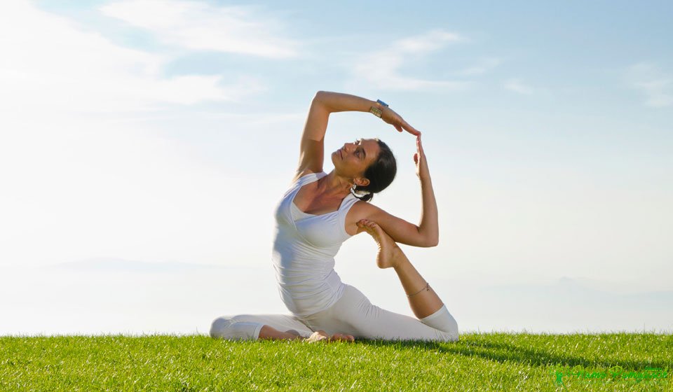 Хатха-йога. Достижение совершенства, физического и психического, благодаря практике йоги